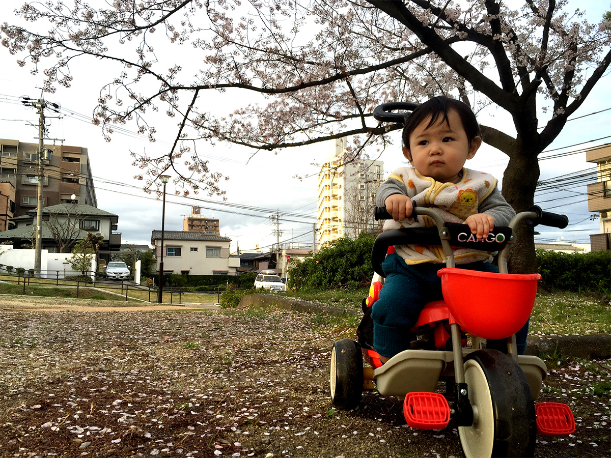 桜散る・・・